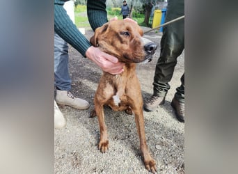 Artù – auf der Suche nach einem familiären Bildungsweg