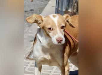 Paris, aktiv, lernwillig, aufgeschlossen