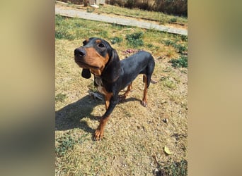 Frohnatur Marley