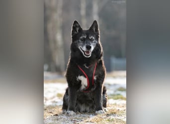 Liebevolle Anita sucht ihre Familie