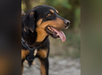 Mico ❤️ aufgeschlossen & verkuschelt!