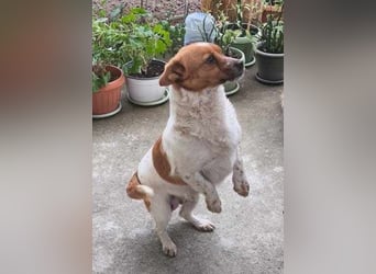 Herzige Bella
