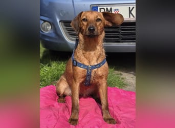 Rita ♥️ Pflegefamilie 41812 Erkelenz