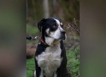Vilma-BE, sucht einen sicheren Hafen!