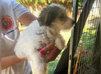 Update Shirley: reserviert