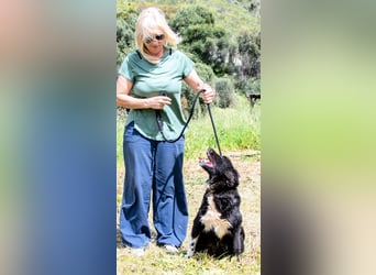 Nancy – ein liebes Mädchen