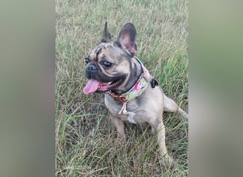 Liebevolles Zuhause gesucht