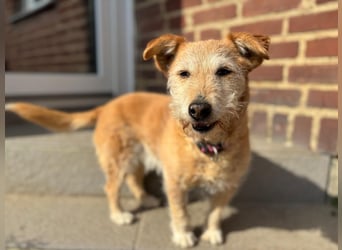 ZARA ❤️ ein süßer Schatz, Pflegefamilie Elsdorf