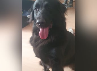 Trulla ist einfach traumhaft