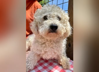 Queeny - Zurückgelassene auf der Suche nach ihrem Königreich