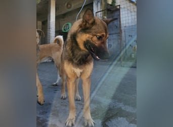 CHIARA❤️charmant, sozial, offenherzig und sucht dringend ihr Für-Immer-Nest