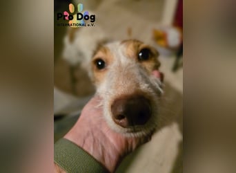 Lilo, einfach zum verlieben