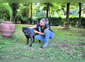 Morgan - wird hoffentlich alles besser