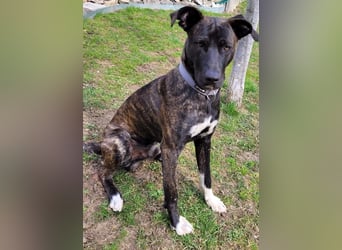 Sox wartet so lange auf seine 2. Chance