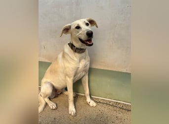 Lilly – sensibel, aktiv, besonders. Wer gibt ihr diesmal die richtige Chance?