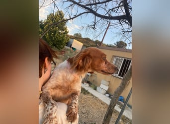 Linda, sucht ihre Familie