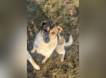 Aufgeschlossene Freya sucht liebe Familie