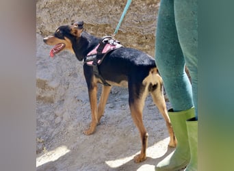Amy, offen, neugierig und intelligent