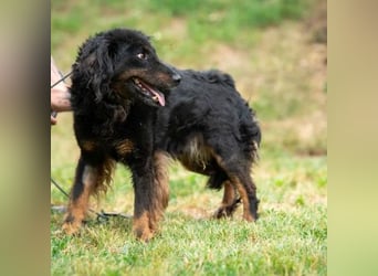 Zeyko