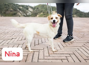 Nina: „Ich packe in mein Köfferchen……...“