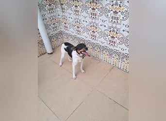 Mateo