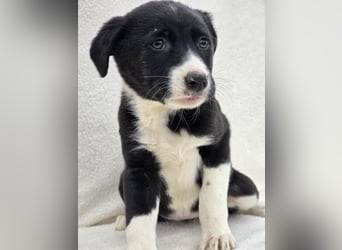 Nina, eine von 7 wundervollen Zwergen