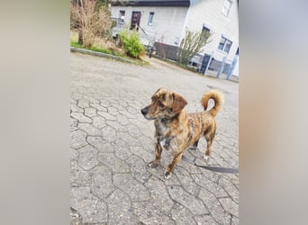 Phineas: „jetzt aber endlich eine eigene Familie"