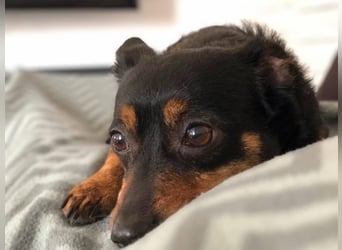 Emma - liebevolle Seniorin-Dame