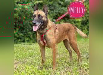 Melly die wundervolle