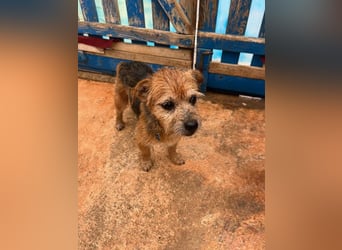 Micky ist ein Traumjunge und liebt das Leben