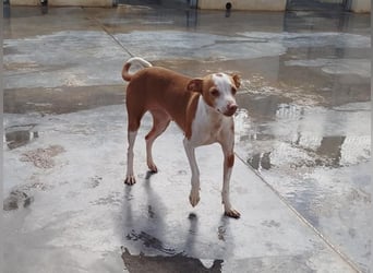 ❤️JARA❤️