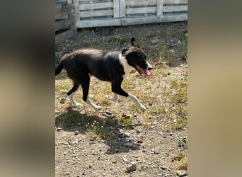 Zauberhafte Kayla ist bereit!