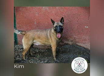 Kim: Menschen mit Geduld, Zeit und Liebe gesucht