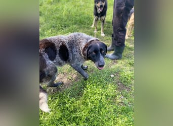 Gina, sensible Seele auf der Suche nach einem liebevollen Zuhause!