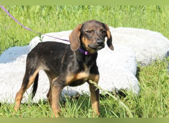 Macy unsere kleine Prinzessin...