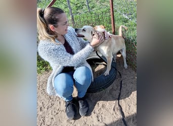 Fear sucht ein liebevolles Zuhause