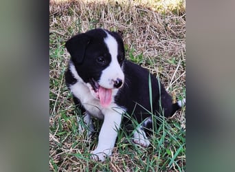 Kleiner Rocky ❤️ will die Welt erkunden!