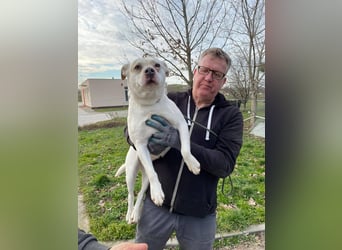 Berni auf der Suche nach ihren Menschen