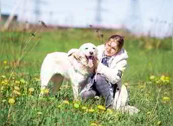 Leta ist aktiv und kinderlieb und sucht eine Familie.