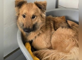 Unsere schüchterne Dani sucht Dich