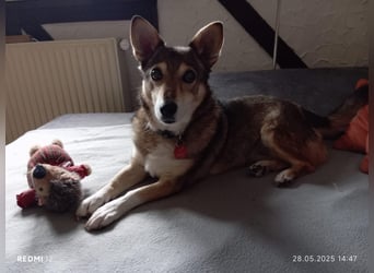Lucia-Seniorin sucht Senioren-WG!