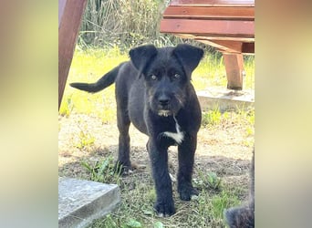 Eléa – Kleine Entdeckerin mit großem Herz sucht Zuhause
