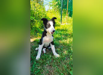 Tina sucht ihre Herzmenschen❤️