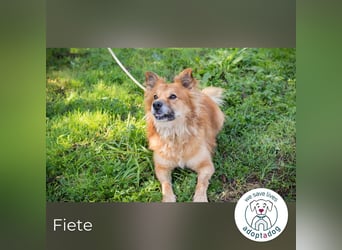 Fiete: Verwandlung durch Verständnis