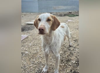 Zoe, ein toller Familienfreund