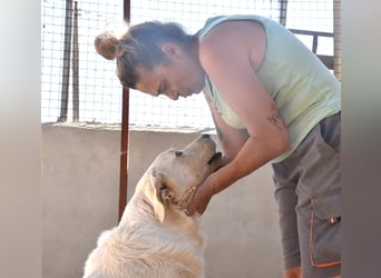 Bunti-wartet auf ein XXL-Körbchen