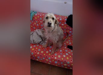 Cloe - Aller guten Dinge sind drei