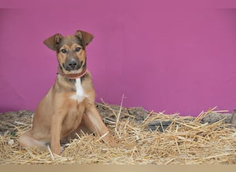 Zeigen Sie Mascha, was Liebe ist?
