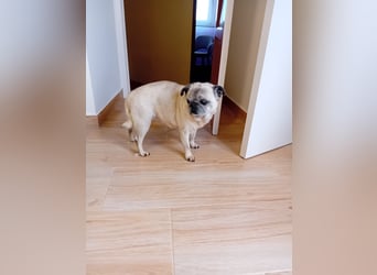 Zeigen Sie Rosita noch ein paar altersgerechte Abenteuer?