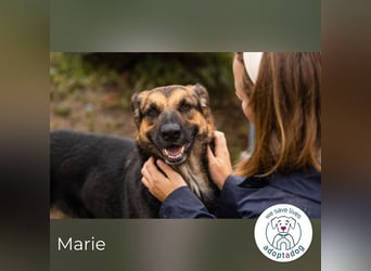 Marie: Die sanfte Seele